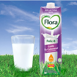 DisfrutaBox Reset Flora B Folic
