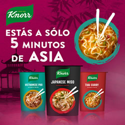 Asian Pot de Knorr 3 sabores