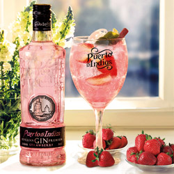 Gin PUerto de Indias Strawberry en DisfrutaBox Summer Love