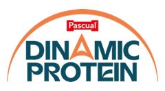 Dinamic Protein