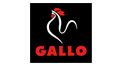 grupo-gallo