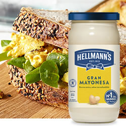 Hellmann´s Gran Mayonesa en DisfrutaBox Bienvenido Mr.Summer