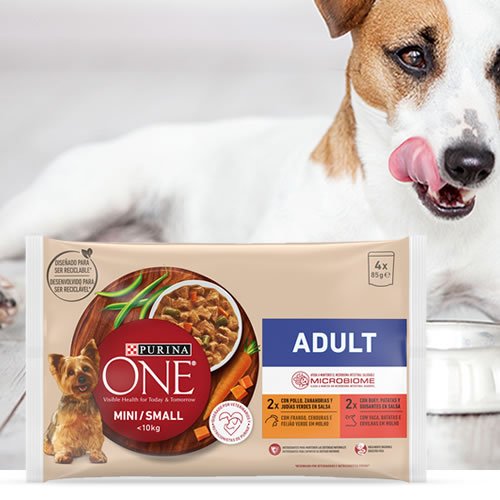 Purina one en DisfrutaBox un rayo de sol Purina one en DisfrutaBox un rayo de sol