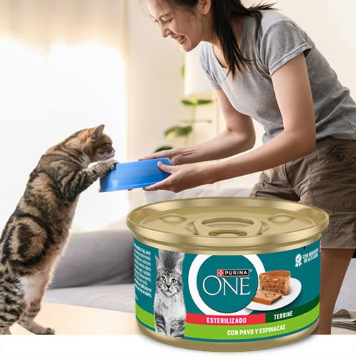 Purina one en DisfrutaBox con solera