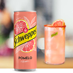 /upload/images/otras_ediciones/schweppes-vs-pomelo-DisfrutaBox-Dale-al-play-marzo.jpg